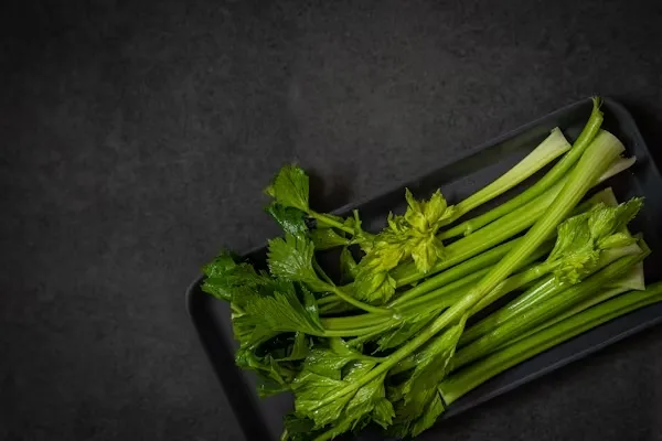 Pravi Celer: A Nutritional Powerhouse Is Your Daily Diet for Optimal Health